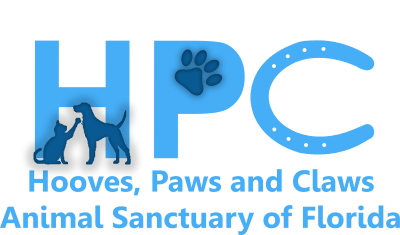 Hooves, Paws and Claws Animal Sanctuary of Florida is a non profit animal  rescue in Florida