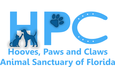 Hooves, Paws and Claws Animal Sanctuary of Florida is a non profit animal rescue in Florida Hooves, Paws and Claws Animal Sanctuary of Florida is a non profit animal rescue in Florida